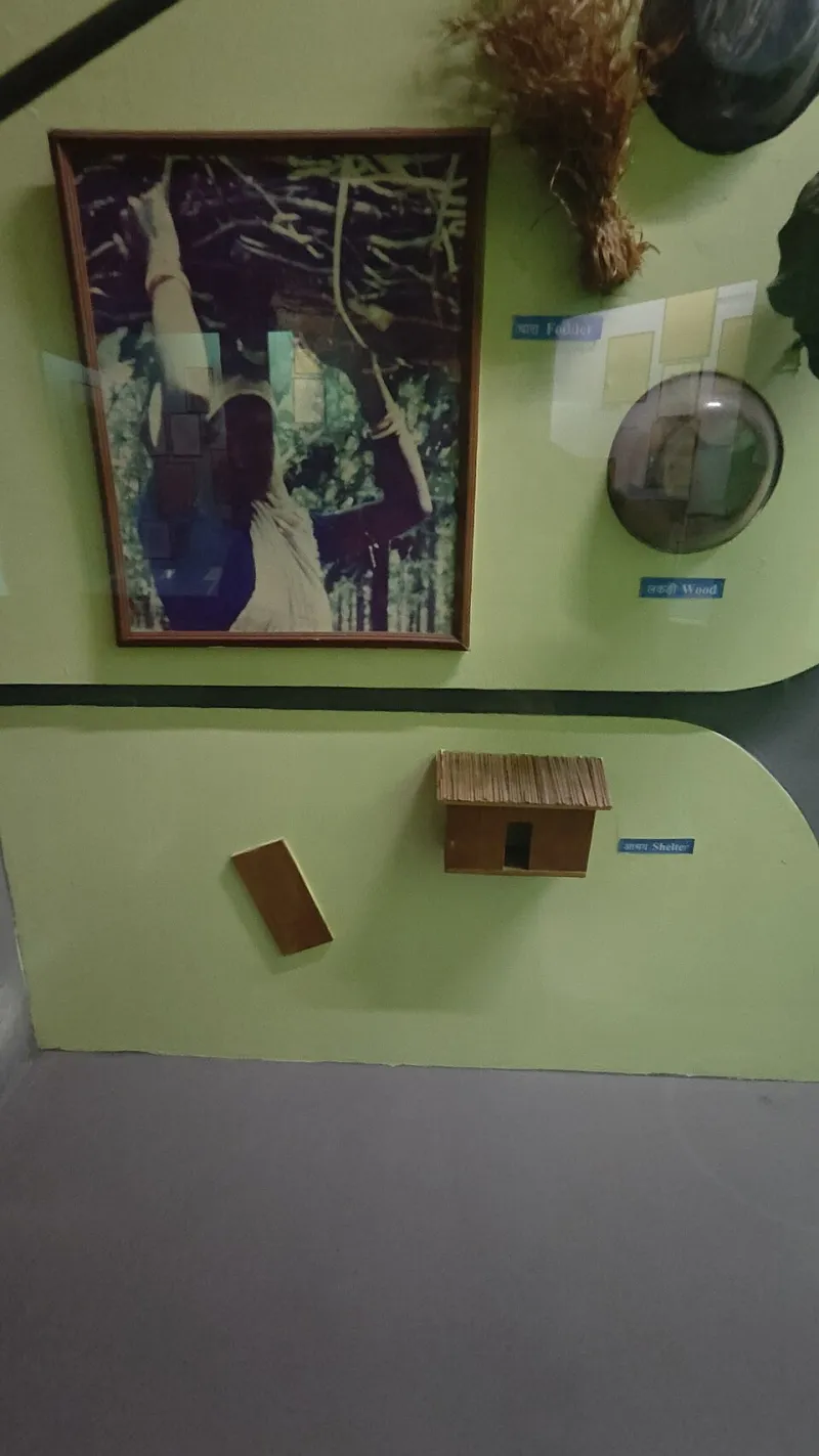 Grün schenken mit gutem Gewissen: 15 nachhaltige Geschenkideen, die wirklich begeistern